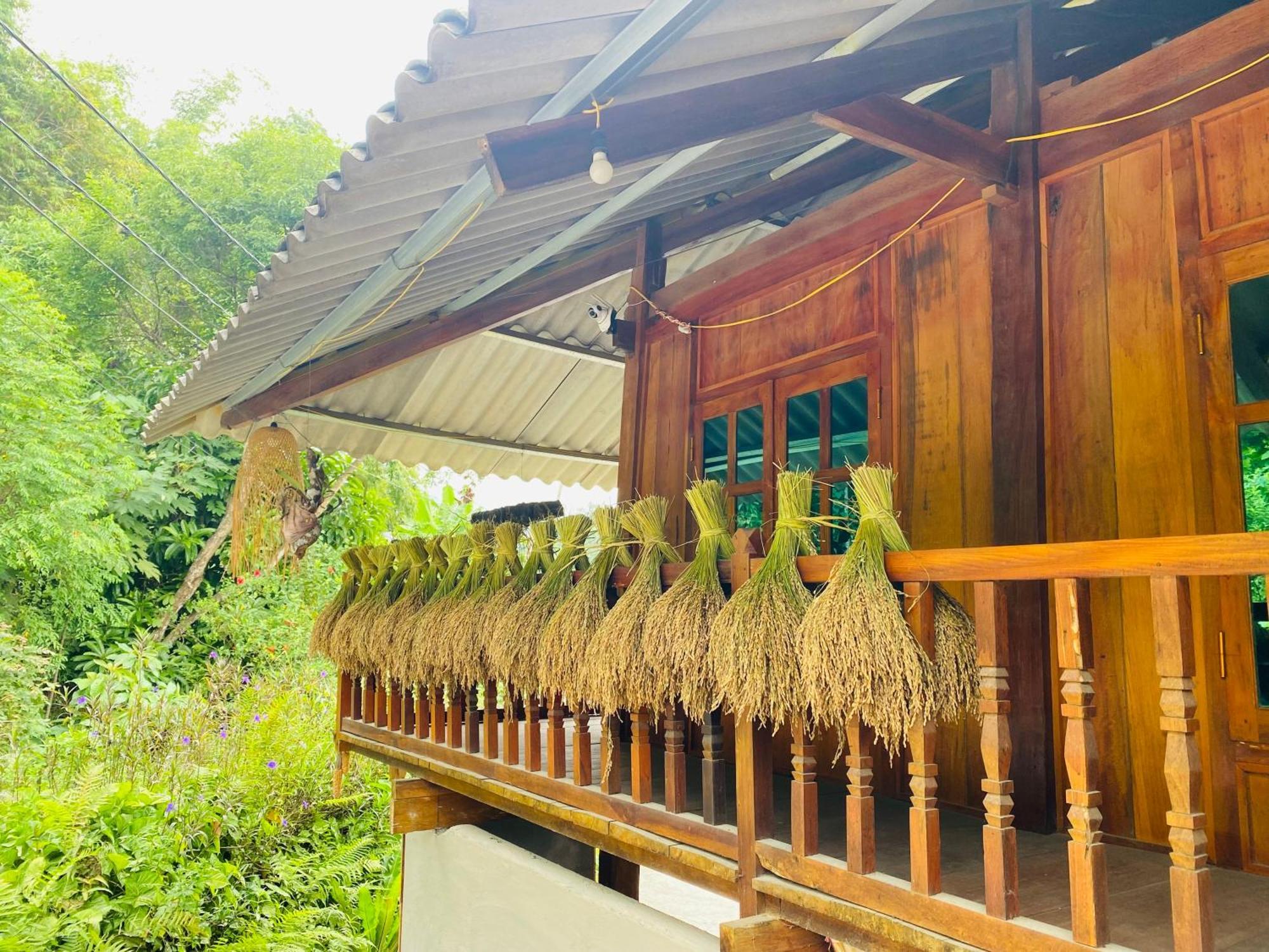 Du Gia Field View Homestay Làng Cac Eksteriør billede
