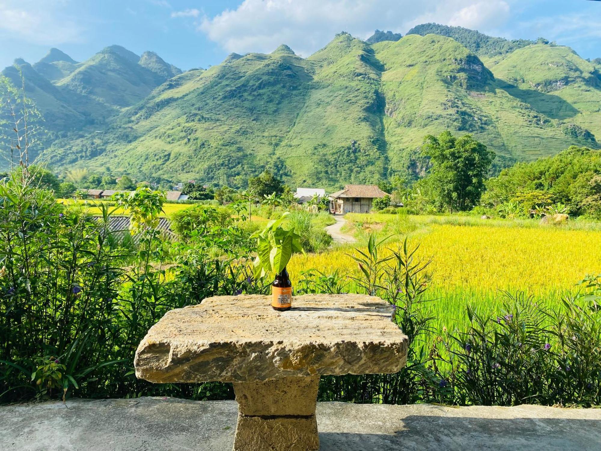 Du Gia Field View Homestay Làng Cac Eksteriør billede