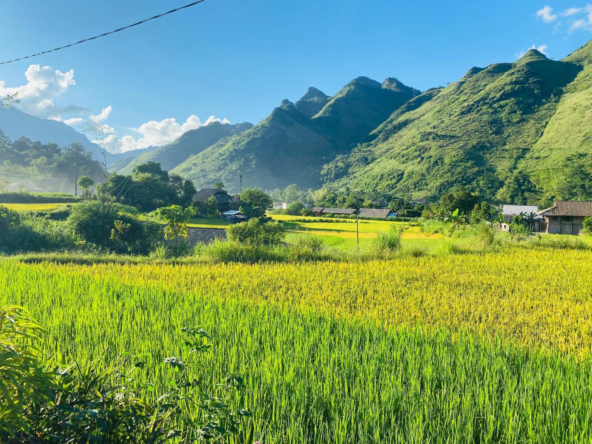 Du Gia Field View Homestay Làng Cac Eksteriør billede