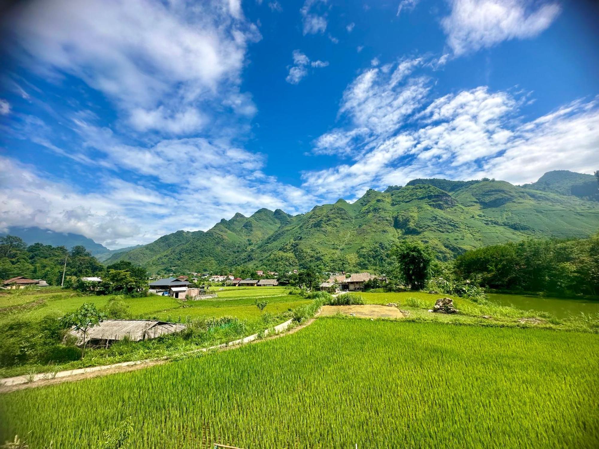 Du Gia Field View Homestay Làng Cac Eksteriør billede