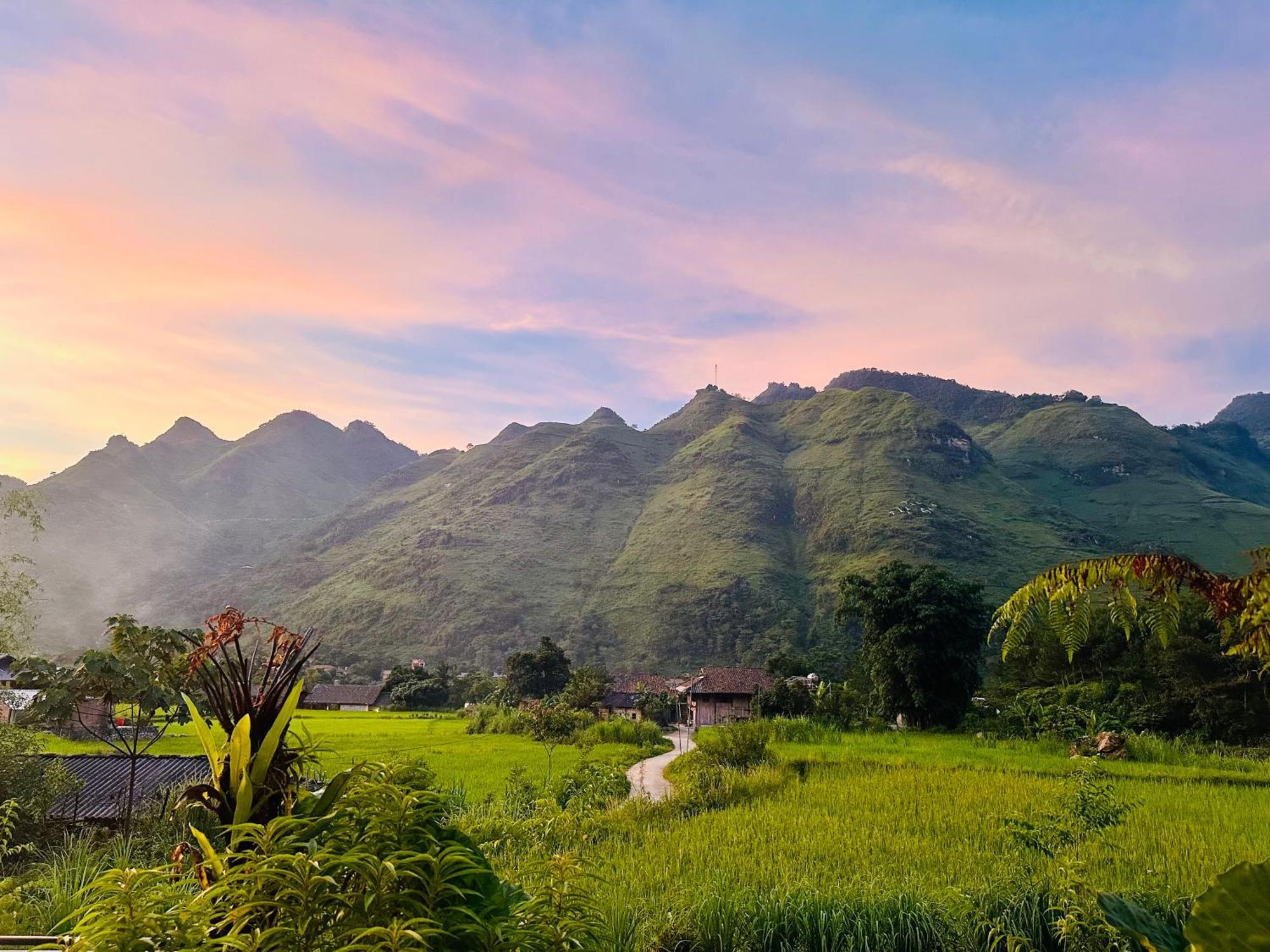 Du Gia Field View Homestay Làng Cac Eksteriør billede