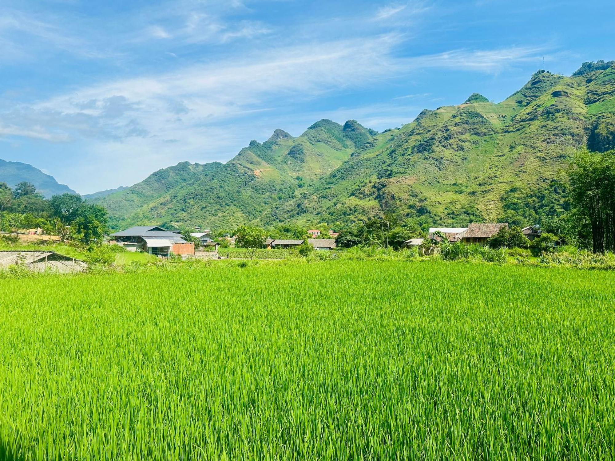 Du Gia Field View Homestay Làng Cac Eksteriør billede